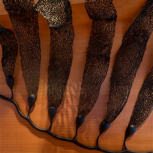 Image description is not available.