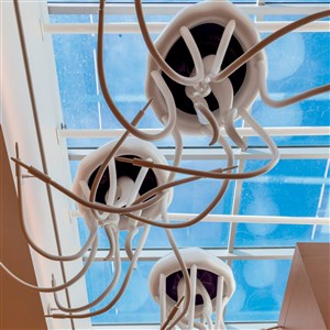 Image description is not available.