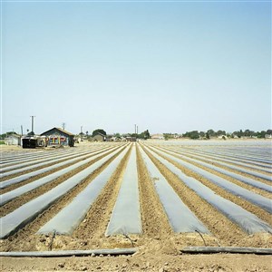 Image description is not available.