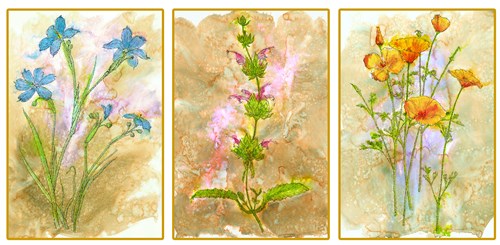 Image description is not available