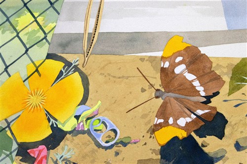 Image description is not available