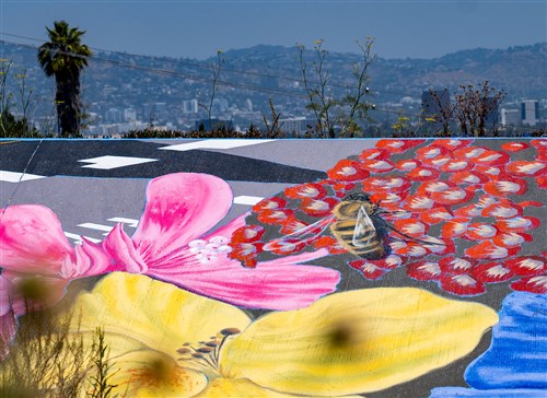 Image description is not available