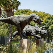 link to Natural History Museum