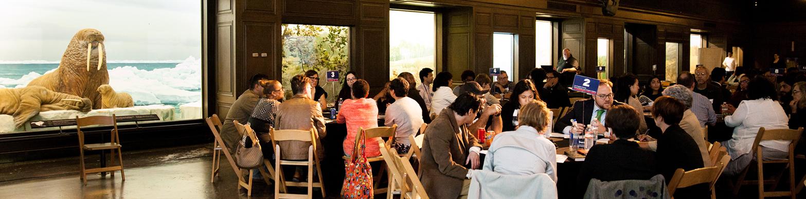 ceiiadvisorycommittee