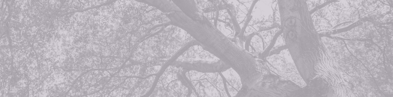 Olga Koumoundouros | Creative Strategist