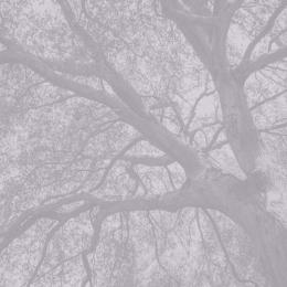 Violence, Hope and Healing book image